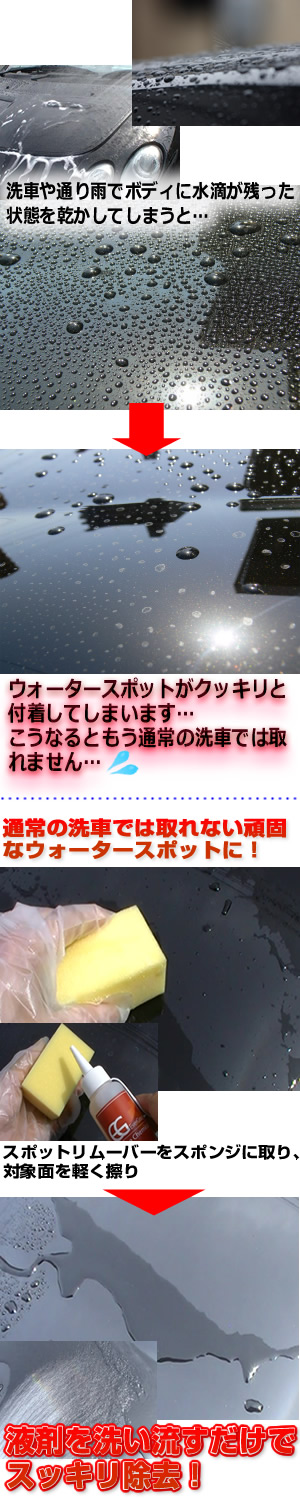 スポットリムーバー 100ml ウォータースポット イオンデポジット除去剤 エバーグレイス 洗車用品とコーティングの専門ショップ