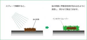 虫の死骸を除去するには