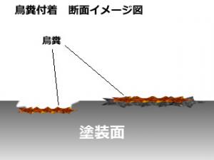 塗装上ではこうなっています